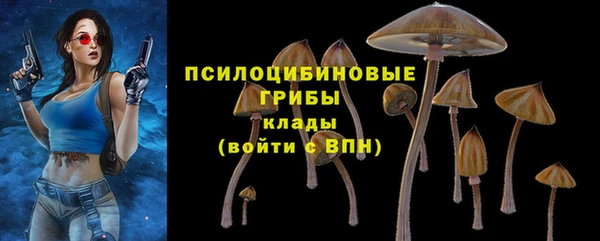 первитин Балахна