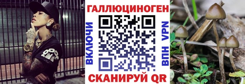 Псилоцибиновые грибы ЛСД  omg онион  Гаврилов-Ям 